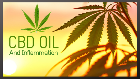 CBD Oil And Inflammation